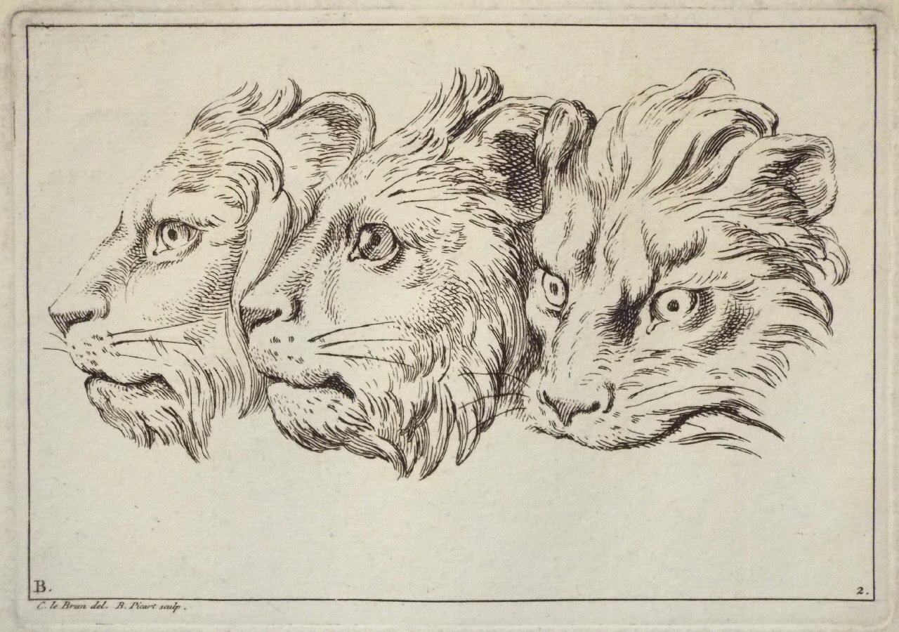 Etching - B. 2. Three heads of lions - Picart
